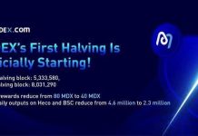 What Does the future hold for MDEX after the Halving?